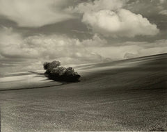 Campagne by Christian Coigny, limited edition photography