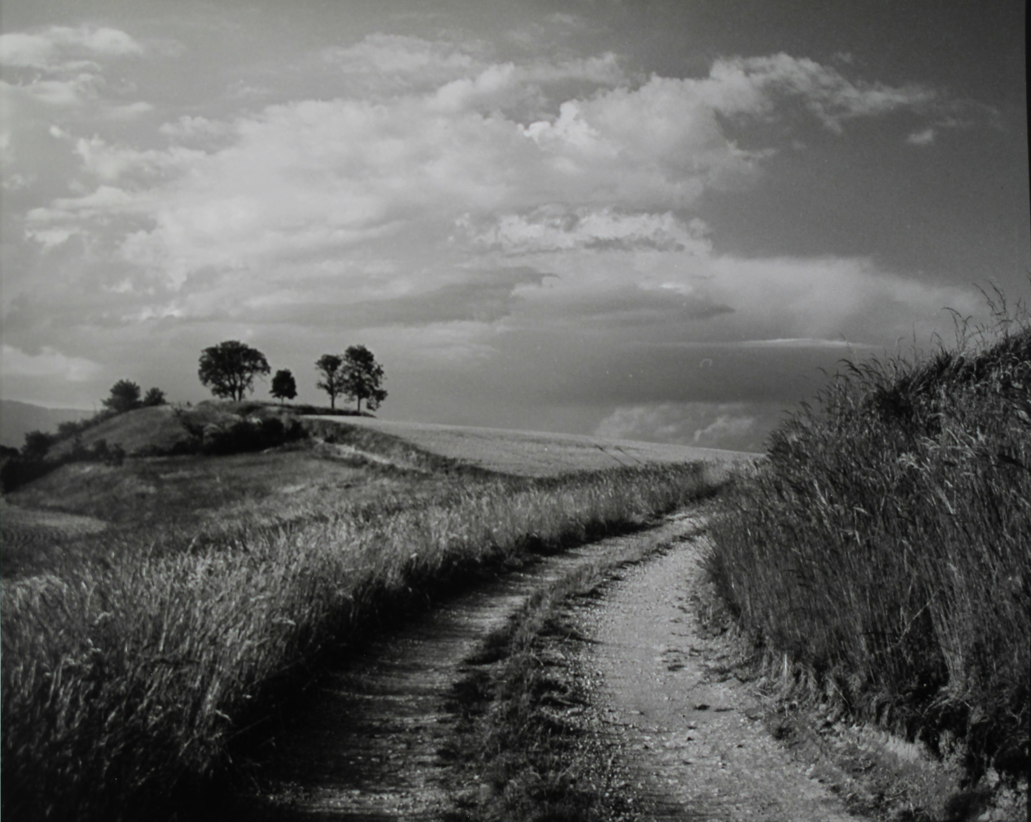 Plusjamais by Christian Coigny, limited edition photography