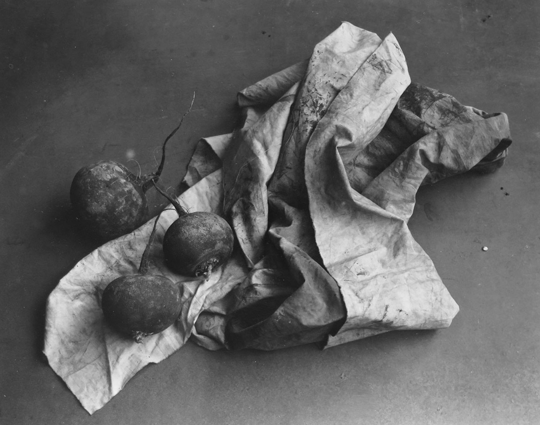 Les Radis by Christian Coigny, limited edition photography