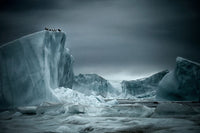 Iceberg XXX