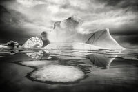 Iceberg XIX - Arctic 2008 (ref. T3Z7763)