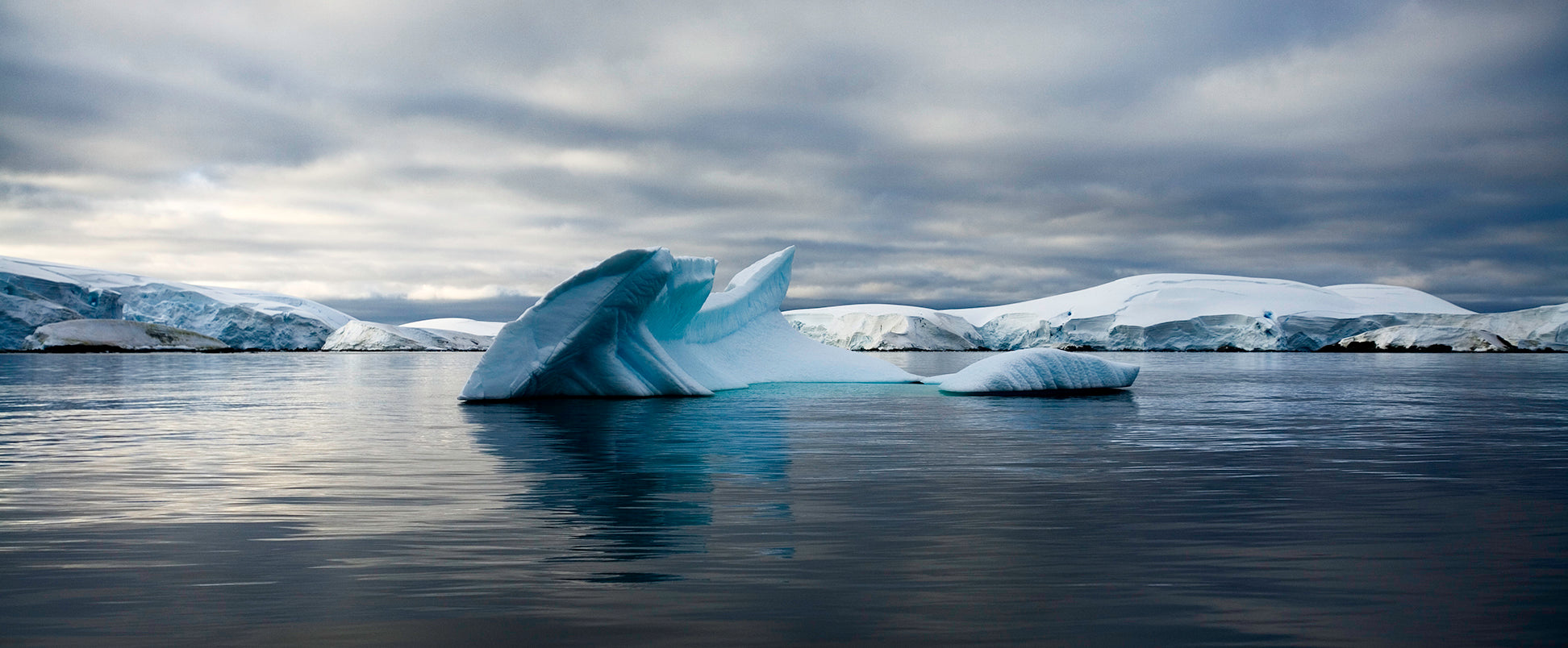 Iceberg XXXI