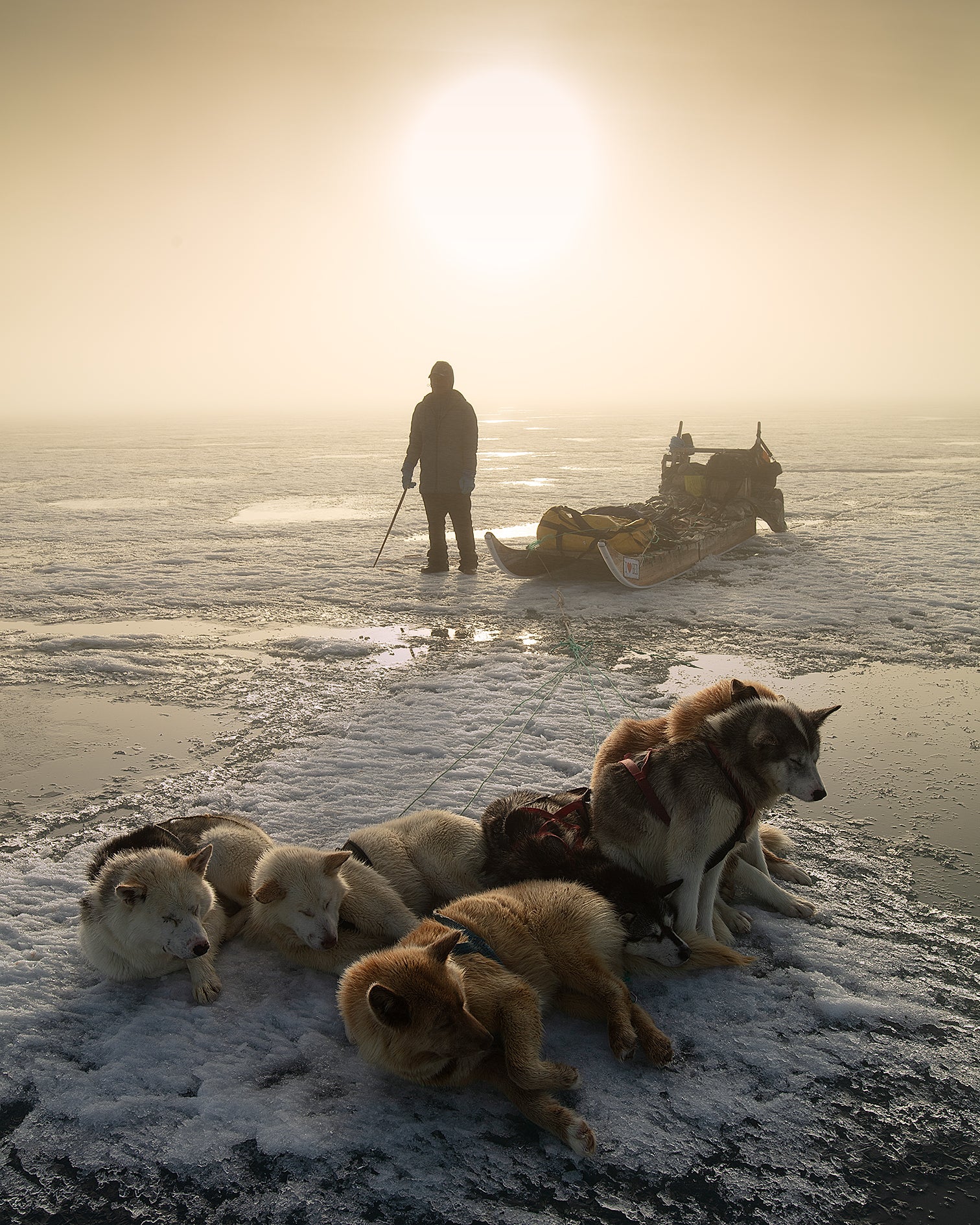 Mahiautsiaq with Dogs, Greenland 2024 by Sebastian Copeland, limited edition photography