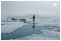 Mahu with Dogs, Greenland 2024