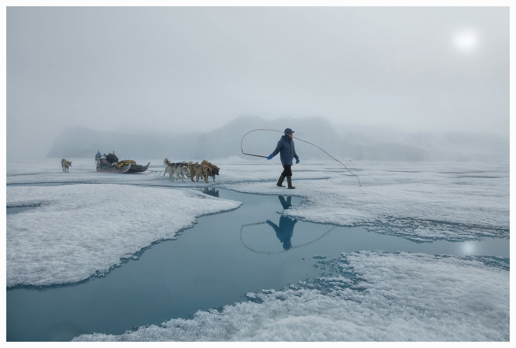Mahu with Dogs, Greenland 2024