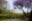 LA #1 by Jacob Gils, limited edition photography