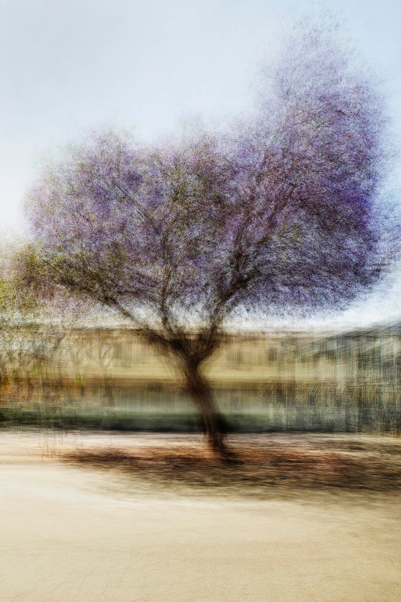 LA #3 by Jacob Gils, limited edition photography