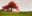 Frederiksdal #6 by Jacob Gils, limited edition photography
