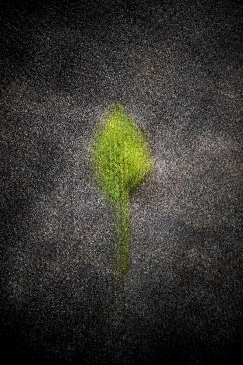 Frederiksdal #5 by Jacob Gils, limited edition photography
