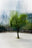 Shanghai #2 by Jacob Gils, limited edition photography