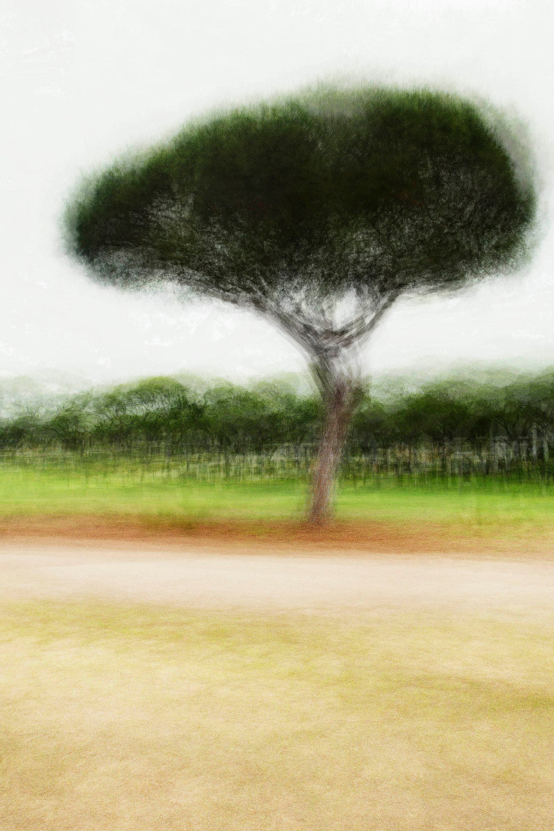 Vilamoura #1 by Jacob Gils, limited edition photography