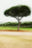 Vilamoura #1 by Jacob Gils, limited edition photography