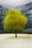 Copenhagen #21 by Jacob Gils, limited edition photography