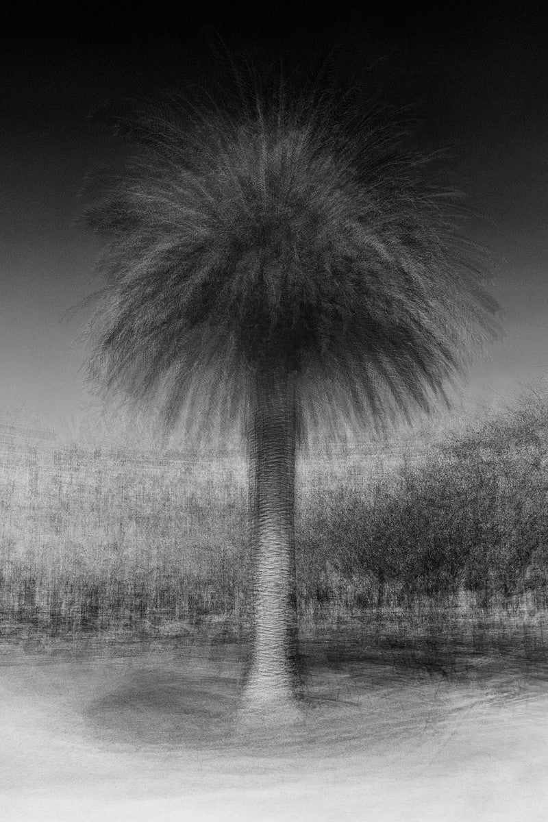 Lisbon #1 by Jacob Gils, limited edition photography