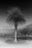 Lisbon #1 by Jacob Gils, limited edition photography