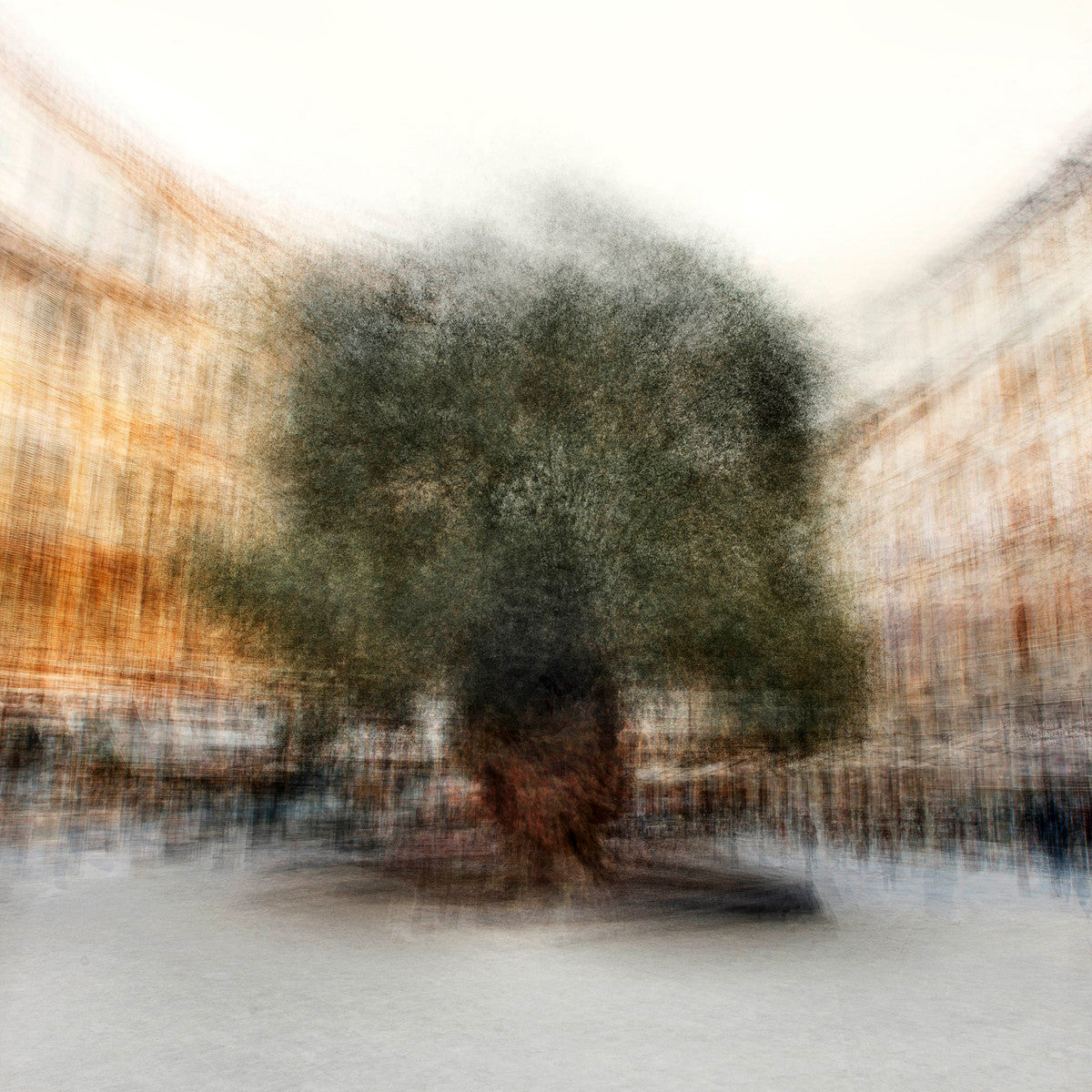 Palma #2 by Jacob Gils, limited edition photography