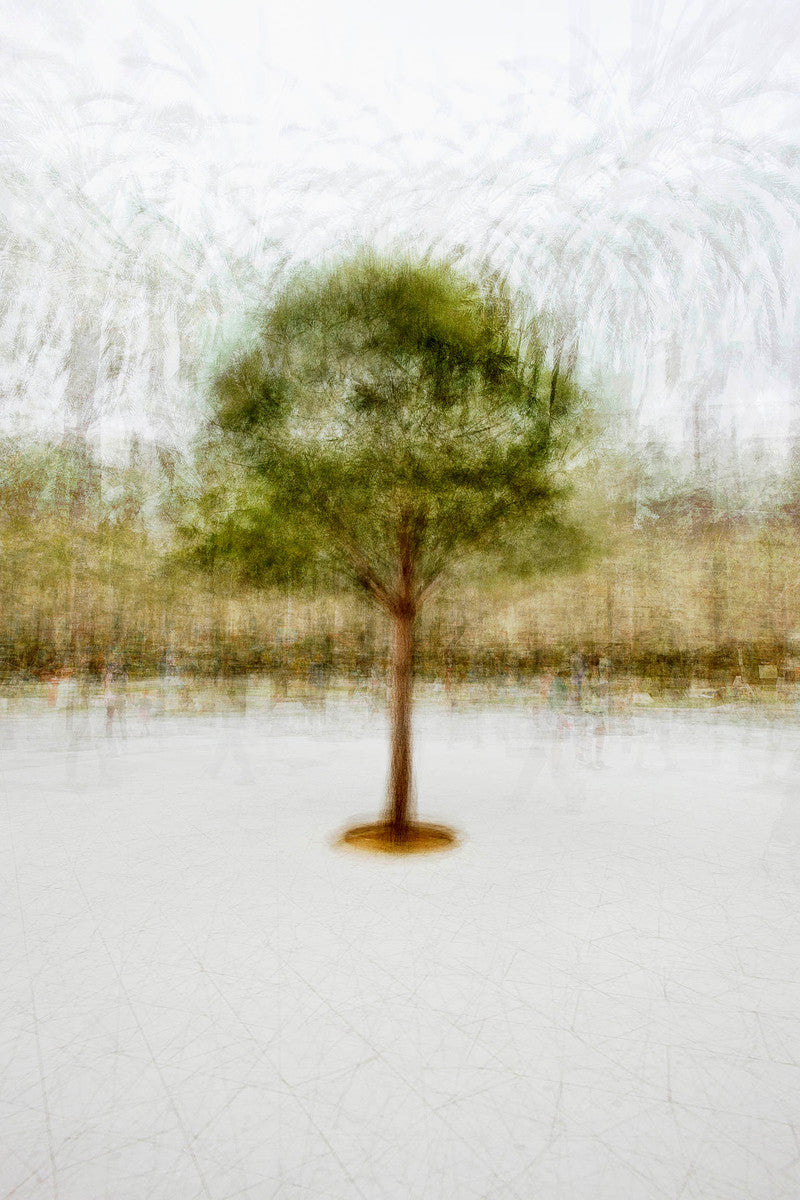 Palma #3 by Jacob Gils, limited edition photography