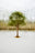 Palma #3 by Jacob Gils, limited edition photography