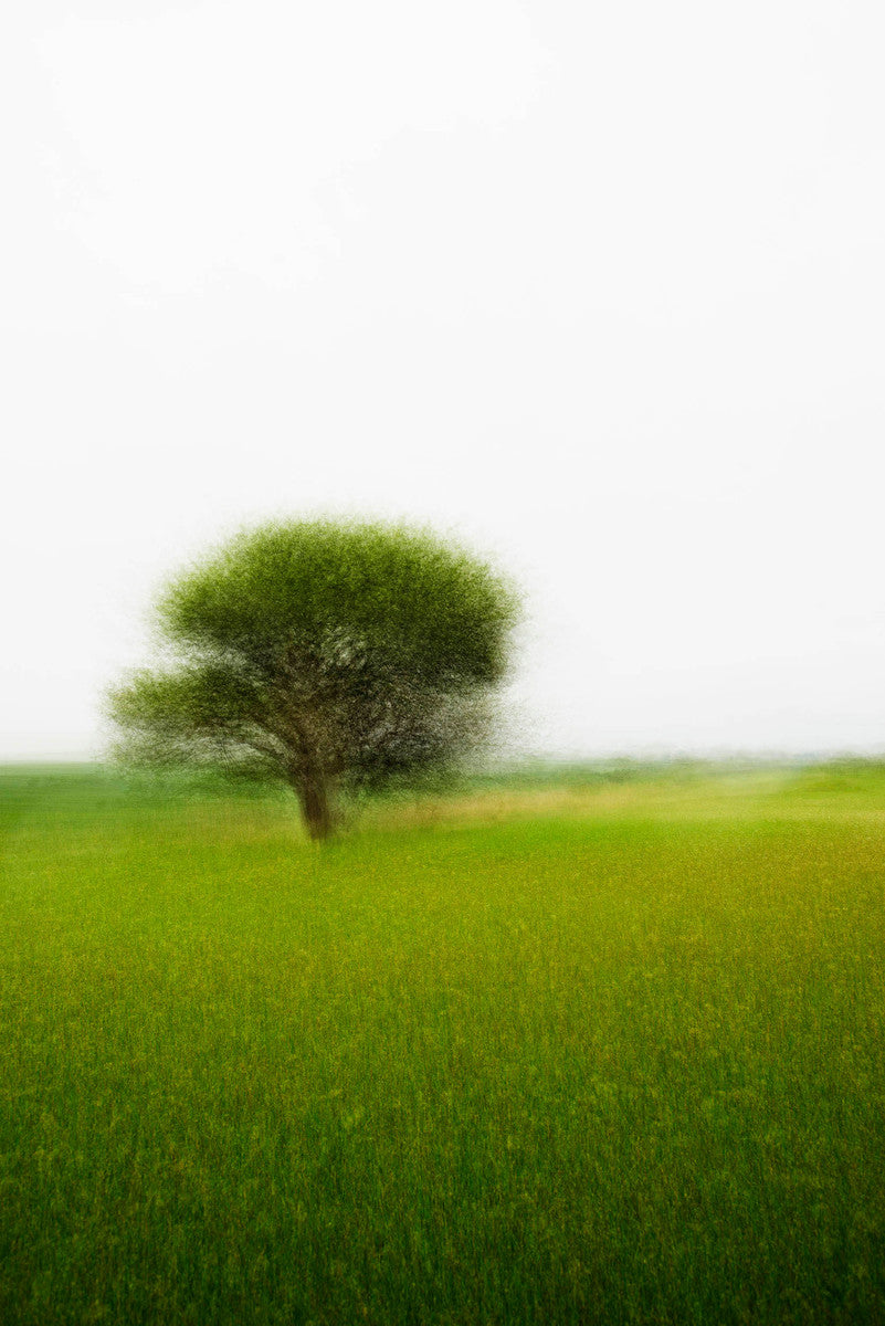 Pibemoelle #2 by Jacob Gils, limited edition photography