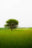 Pibemoelle #2 by Jacob Gils, limited edition photography