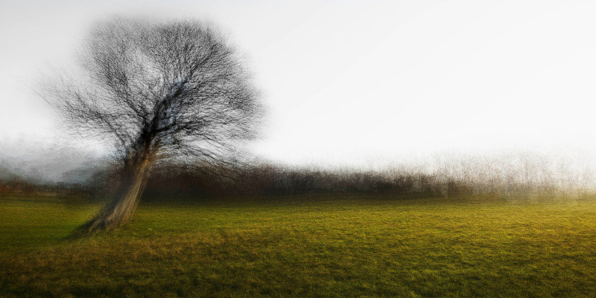 Tranekaer #3 by Jacob Gils, limited edition photography