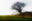 Tranekaer #6 by Jacob Gils, limited edition photography