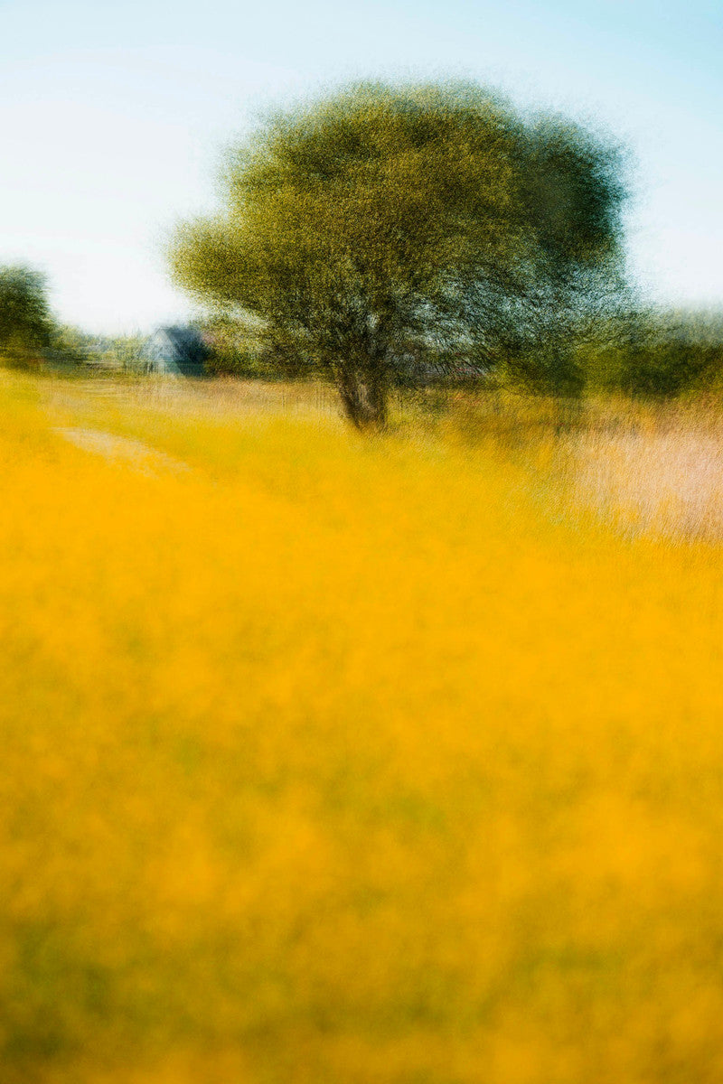 Pibemoelle #11 by Jacob Gils, limited edition photography