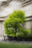 London #31 by Jacob Gils, limited edition photography
