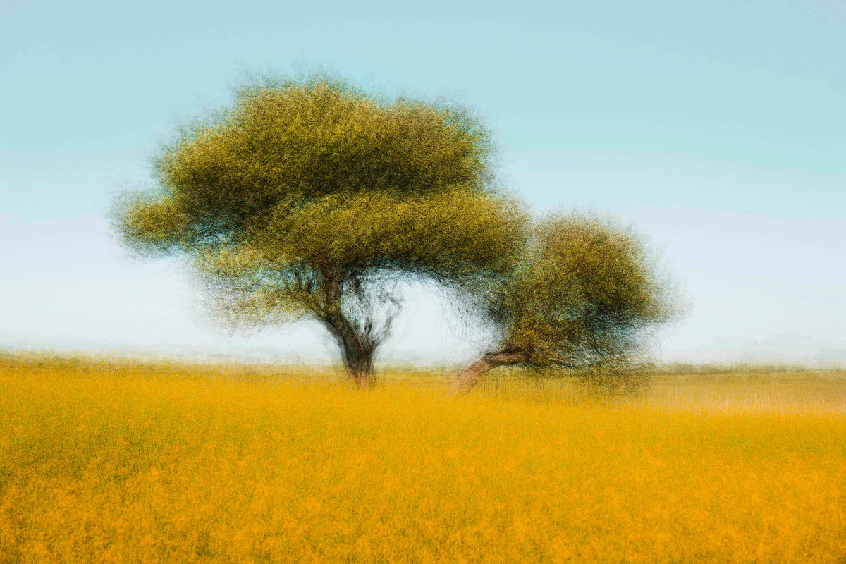 Pibemoelle #10 by Jacob Gils, limited edition photography