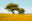 Pibemoelle #10 by Jacob Gils, limited edition photography