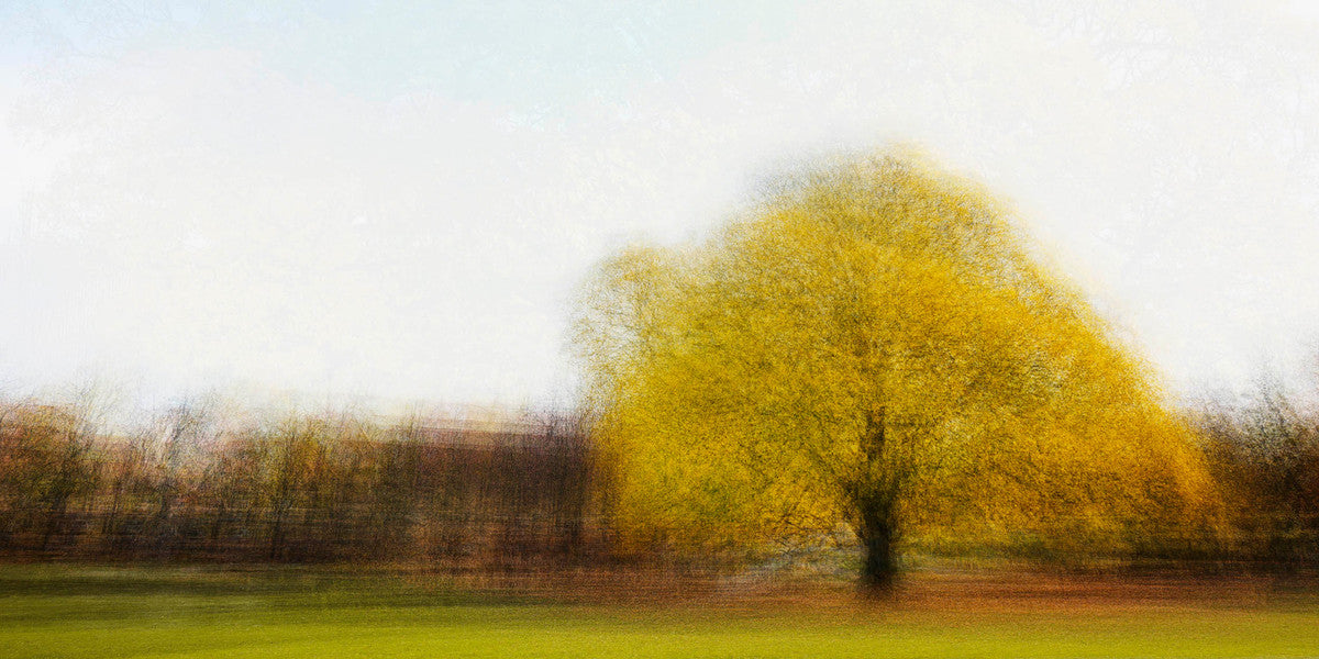 Hoersholm #3 by Jacob Gils, limited edition photography