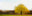 Hoersholm #3 by Jacob Gils, limited edition photography