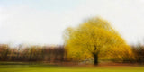 Hoersholm #3