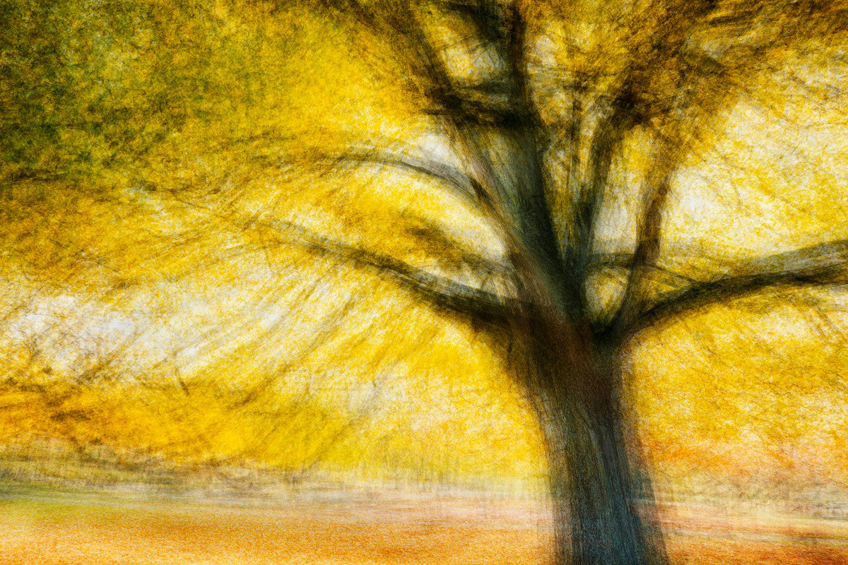 Hoersholm #2 by Jacob Gils, limited edition photography