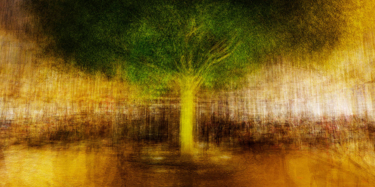 Paris #4 by Jacob Gils, limited edition photography
