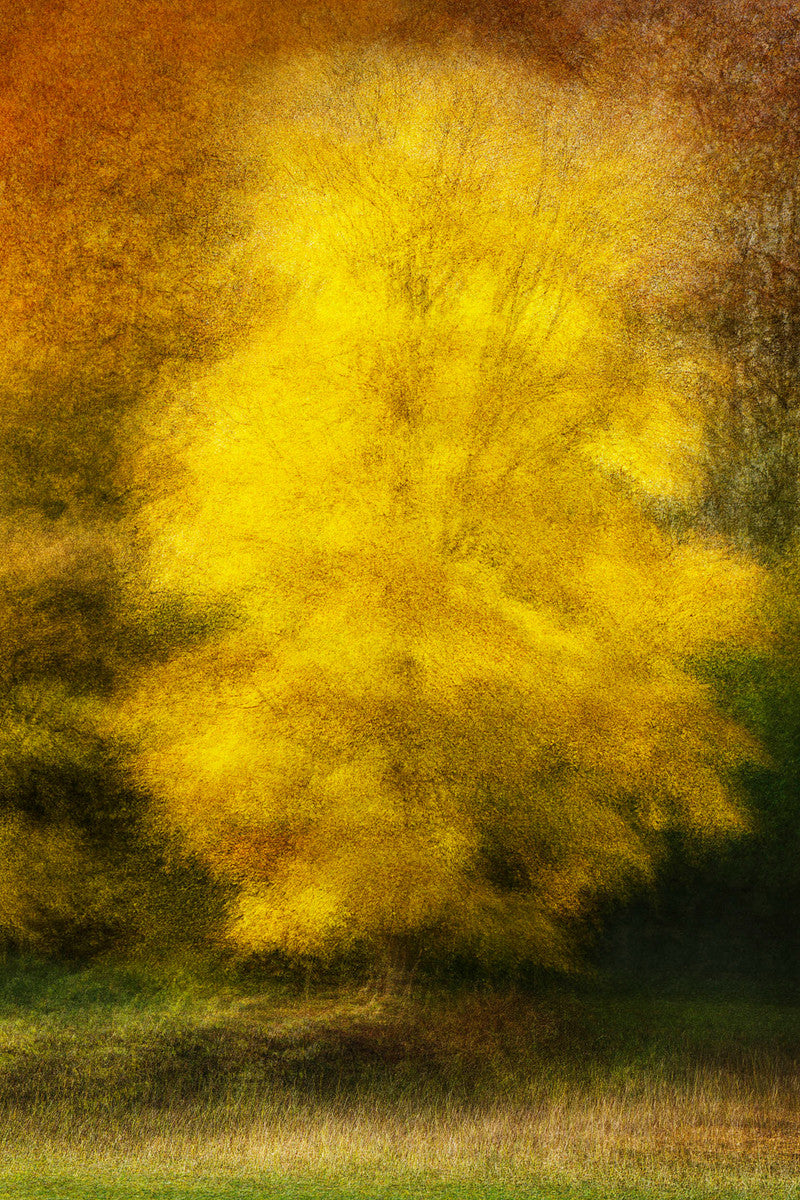 Hoersholm #4 by Jacob Gils, limited edition photography