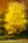 Hoersholm #4 by Jacob Gils, limited edition photography