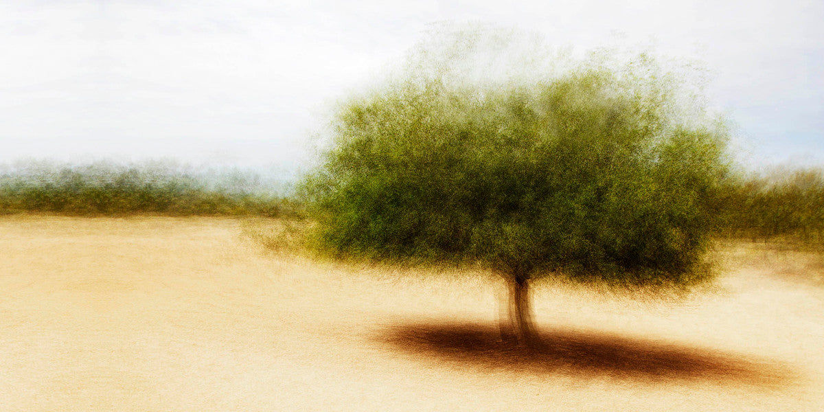 Sant Elm #3 by Jacob Gils, limited edition photography