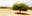 Sant Elm #3 by Jacob Gils, limited edition photography