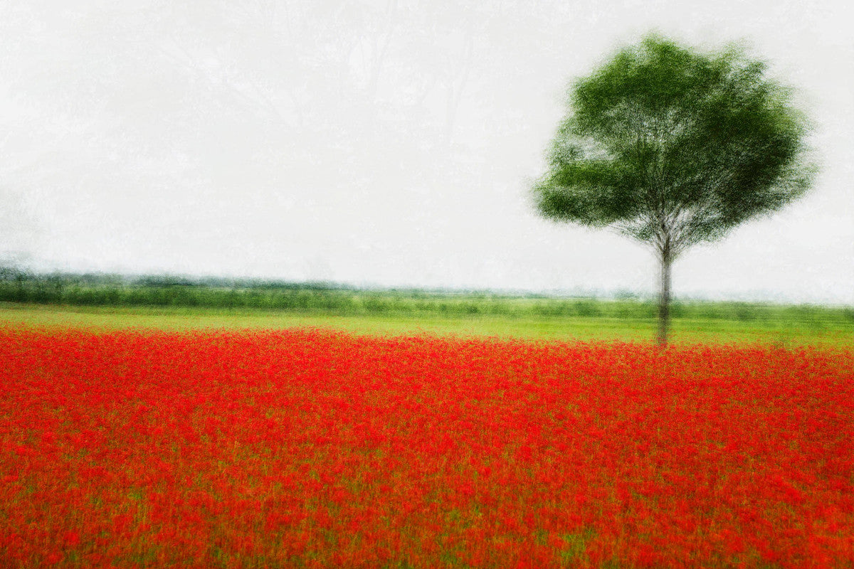 Lejre #3 by Jacob Gils, limited edition photography