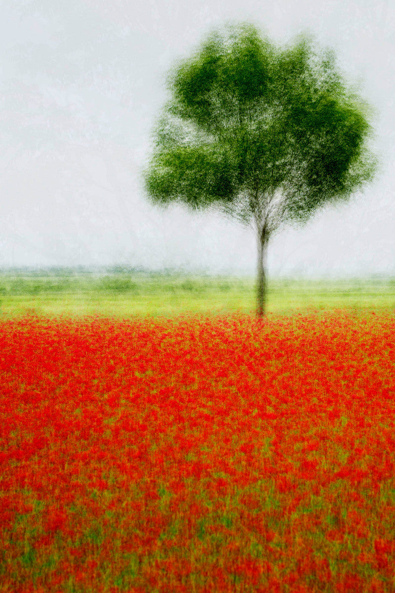 Lejre #2 by Jacob Gils, limited edition photography