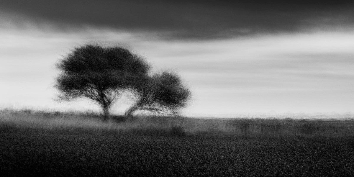 Pibemoelle #8 by Jacob Gils, limited edition photography