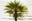 Santa Monica #2 by Jacob Gils, limited edition photography