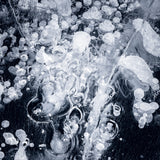 Frozen Bubbles XXV