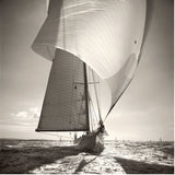 Cambria on the Solent, Isle of Wight, England