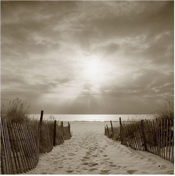 Island Beach, New Jersey , US by Michael Kahn, limited edition photography