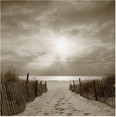 Island Beach, New Jersey , US by Michael Kahn, limited edition photography