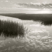 Salt Marsh Reflections