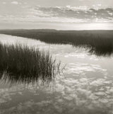 Salt Marsh Reflections