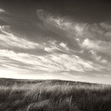 Nantucked Winds